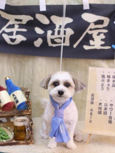 20240620もっぷちゃん